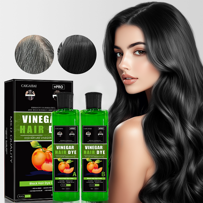 Fruit Vinegar Gel Based Hair Color -Pack of 2