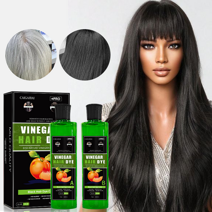 Fruit Vinegar Gel Based Hair Color -Pack of 2