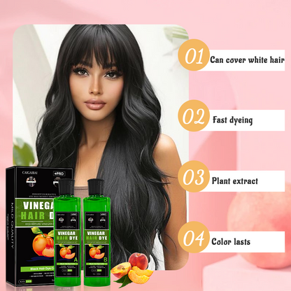 Fruit Vinegar Gel Based Hair Color -Pack of 2